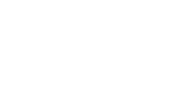 ホノルルトライアスロン